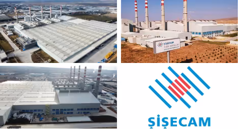 Dark Green Minimalist Company Profile Annual Report kopyasi 12 png