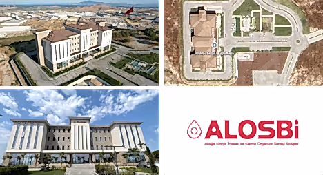 Dark Green Minimalist Company Profile Annual Report kopyasi 14 png